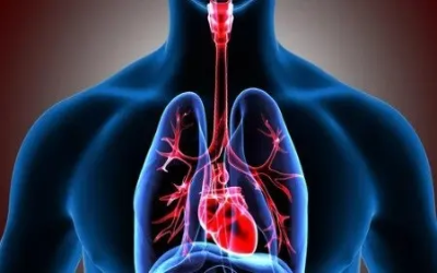 hombre corazon pecho enfermedad cardiovascular