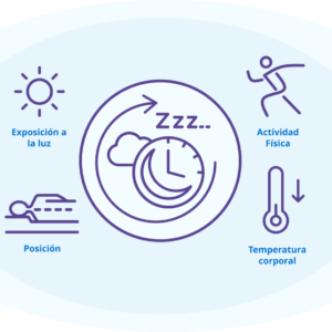 Estudio de ritmos circadianos
