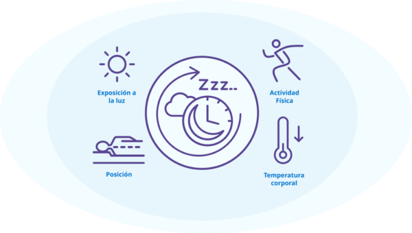 Estudio de ritmos circadianos